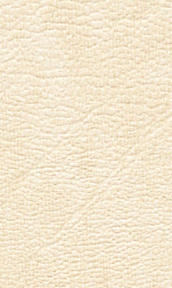 Farbkarte für Praxisliegen - verfügbare Polster- und Gestellfarben