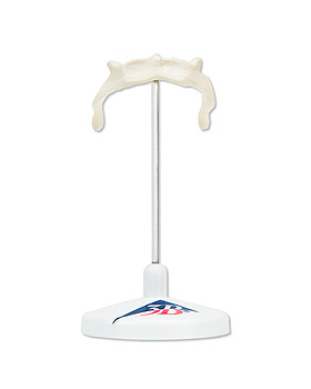 Zungenbein auf Stativ, 3B Scientific, medishop.de