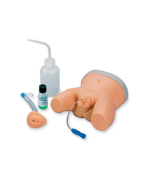 Kinder-Katheterisierungs-Simulator, mnnlich und weiblich, 3B Scientific, medishop.de