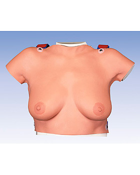 Brust-Tastmodell zum Umhngen II, 3B Scientific, medishop.de