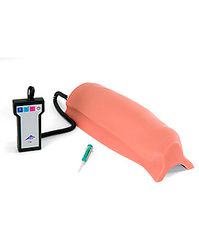 Intramuskulrer Injektions-Simulator Oberschenkel, 3B Scientific, medishop.de