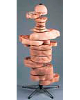 Scheiben-Torso, 15 Scheiben, 3B Scientific, medishop.de