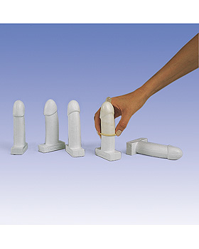 Kondom-bungsmodelle, 20 Stck, 3B Scientific, medishop.de