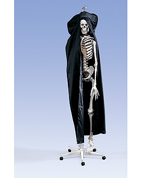 Stabile Staubschutzhlle fr Skelette, 3B Scientific, medishop.de
