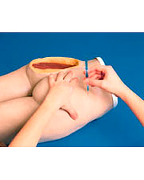 I.m.-Injektionsges, 3B Scientific, medishop.de