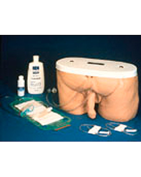 Katheterisierungs-Simulator, mnnlich, 3B Scientific, medishop.de