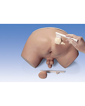 simulatoare pentru prostatită androgen pentru prostatită