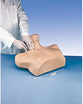 Zentralvenenkatheter-Simulator, 3B Scientific, medishop.de