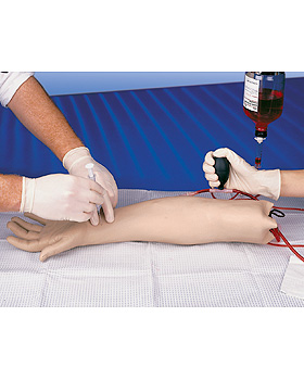 Arterienpunktionsarm, 3B Scientific, medishop.de