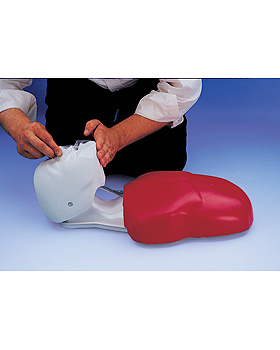 Basic Buddy TM Rettungspuppe, 3B Scientific, medishop.de