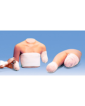 Simulator fr die Armstumpfbandage, 3B Scientific, medishop.de