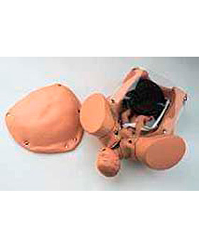 Geburtssimulator 3, 3B Scientific, medishop.de