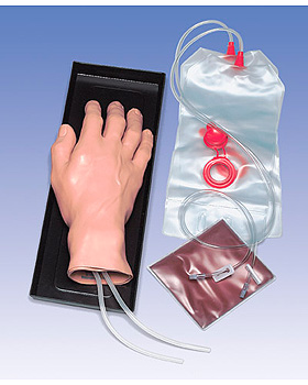 l.v. Injektionshand, 3B Scientific, medishop.de