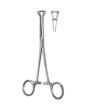 BABCOCK, Darmfazange, 16cm, Allgaier Instrumente, medishop.de