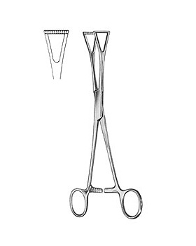 DUVAL, Darmfazange, 20cm, Maulbreite 14mm, Allgaier Instrumente, medishop.de