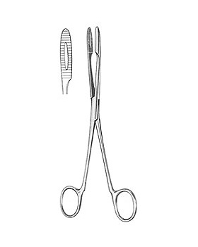 GROSS-MAIER, Kornzange, 20cm, gerade ohne Sperre, Allgaier Instrumente, medishop.de