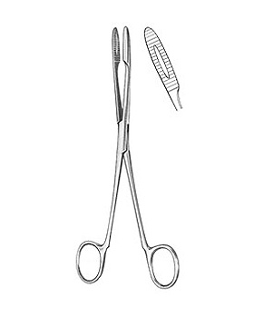 GROSS-MAIER, Kornzange, 25cm, gebogen ohne Sperre, Allgaier Instrumente, medishop.de