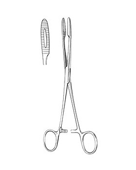 GROSS-MAIER, Kornzange, 25cm, gerade mit Sperre, Allgaier Instrumente, medishop.de