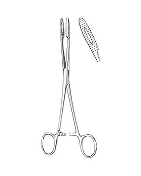 GROSS-MAIER, Kornzange, 20cm, gebogen mit Sperre, Allgaier Instrumente, medishop.de