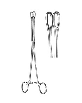 FOERSTER, Schwammzange, 18cm, gerade glattes Maul, Allgaier Instrumente, medishop.de