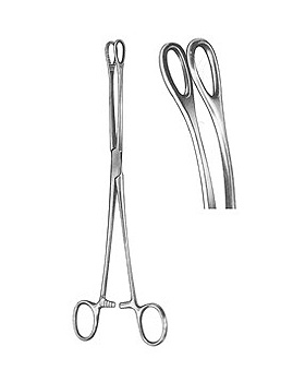 FOERSTER, Schwammzange, 20cm, gebogen glattes Maul, Allgaier Instrumente, medishop.de