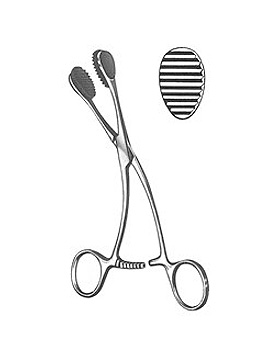 YOUNG, Zungenzange, 17cm, mit Gummieinlagen, Allgaier Instrumente, medishop.de