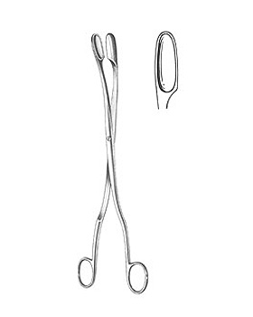 WINTER, Abortuszange, 28cm, gebogen Figur 1, Allgaier Instrumente, medishop.de