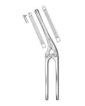 PAYR, Darmquetschklemme, 29cm, mit Stck, Allgaier Instrumente, medishop.de