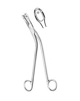 GELLHORN, Probeexzisionszange, 23cm, Allgaier Instrumente, medishop.de