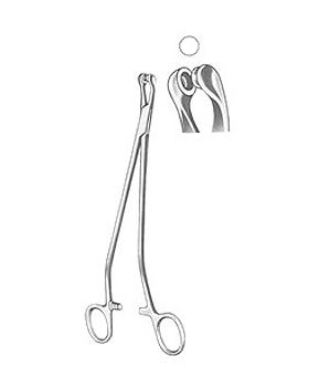 THOMS-GAYLOR, Probeexzisionszange, 22cm, Allgaier Instrumente, medishop.de