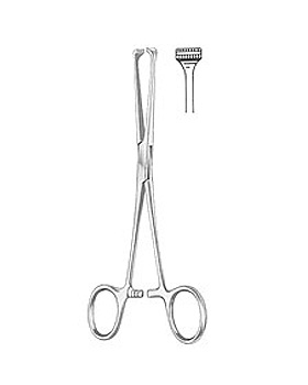 STEINMANN, Sehnenfasszange, 16cm, Allgaier Instrumente, medishop.de