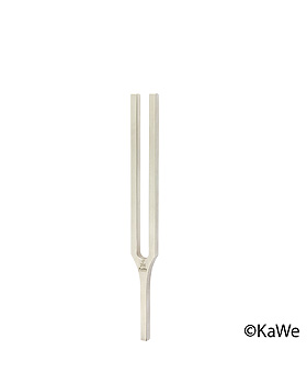 Stimmgabel nach Hartmann, ohne Dmpfer, c1 256, KaWe Germany, medishop.de