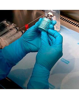 Schutzhandschuhe Manu N, Gr. 7 (S), unsteril (100 Stck.), Berner International, medishop.de