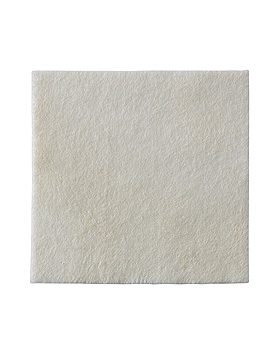 Biatain Alginate Ag Alginatkompressen mit Silber, steril, 5 x 5 cm (30 Stck.), Coloplast, medishop.de