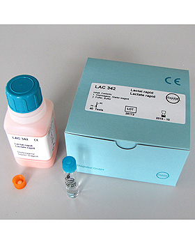 Lactat-Rapid Minikvetten (40 T.), Diaglobal, medishop.de