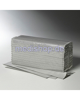 Fripa - Papierhandtcher Plus 1-lagig naturell 25 x 50 cm (20 x 120 Stck.), Fripa, medishop.de