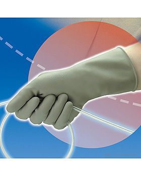 Peha-shield powderfree steril, Gr. 8 (5 Paar), Hartmann, medishop.de