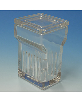 Objektträgerkasten aus Glas, mit Deckel nach Hellendahl mit Erweiterung,, Karl Hecht, medishop.de