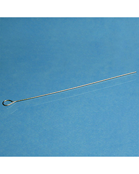 se aus Nickel-Chrom, rostfrei, lose ohne Glasgriff, Karl Hecht, medishop.de