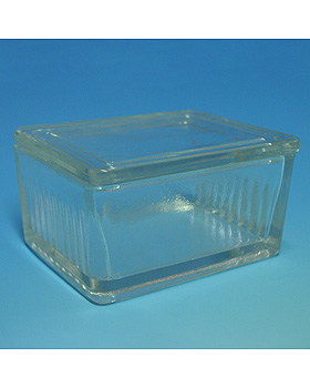 Objekttrgerkasten aus Glas, mit Deckel nach Schiefferdecker, Karl Hecht, medishop.de