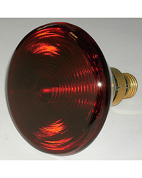 Ersatzlampe fr Typ 240, Reiher, medishop.de