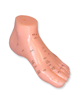 Akupunkturmodell Fu, ratiomed, medishop.de