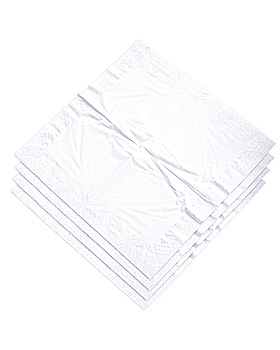 Servietten Typ Dental, wei, 40 x 40 cm, 2-lagig (250 Stck.), ratiomed, medishop.de