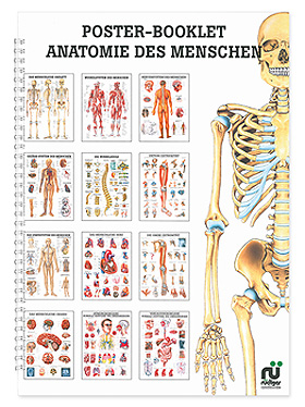 Mini-Poster Booklet: Anatomie, Rdiger Anatomie, medishop.de