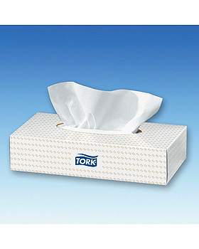 Tork Kosmetiktcher Tissue 2-lagig hochwei, 20 x 20,8 cm (30 x 100 Stck.), ratiomed, medishop.de