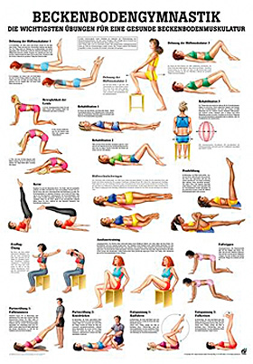 anat. Lehrtafel: Beckenbodengymnastik 70 x 100 cm, laminiert, Rüdiger Anatomie, medishop.de