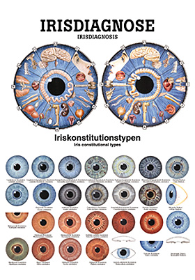 anat. Poster: Irisdiagnose 50 x 70 cm, laminiert, zweisprachig, Rdiger Anatomie, medishop.de