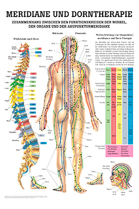 anat. Lehrtafel: Dorntherapie und Meridiane, 70 x 100 cm, Papier, Rdiger Anatomie, medishop.de