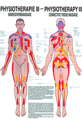 anat. Poster: Physiotherapie Bindegewebsmassage, 50 x 70 cm, Papier, Rdiger Anatomie, medishop.de