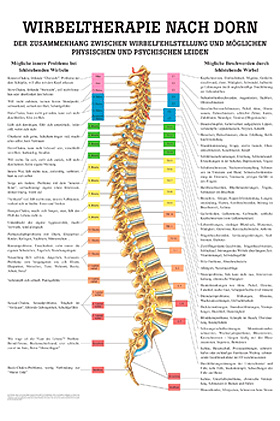 anat. Mini-Poster: Dorn Therapie 24 x 34 cm, laminiert, R�diger Anatomie, medishop.de